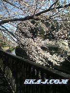 I満・開！(某死神代行風に)