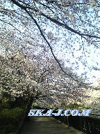 S師谷公園にて。