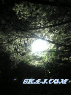 暗いな・・・。